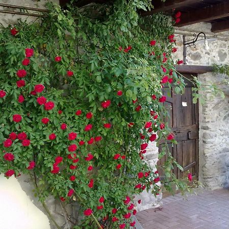 Residenza Antica Corte Villa Picta Buglio in Monte Exterior photo